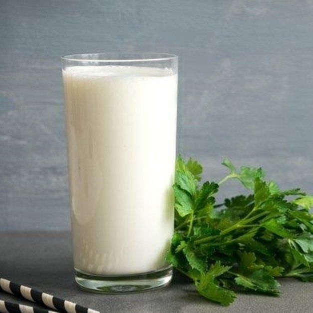 Ayran / Yoghurt Drink